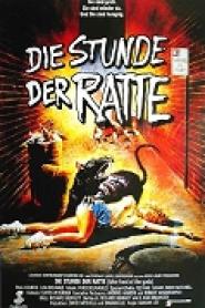 Die Stunde der Ratte