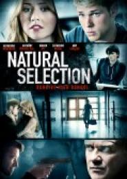 Natural Selection