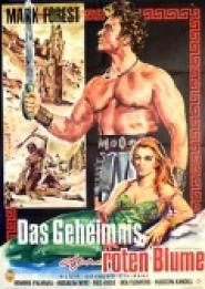 Das Geheimnis der roten Blume