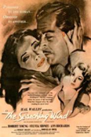 Liebe zwischen Krieg und Frieden