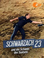 Schwarzach 23 und der Schädel des Saatans