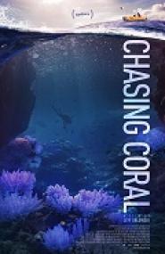 Chasing Coral