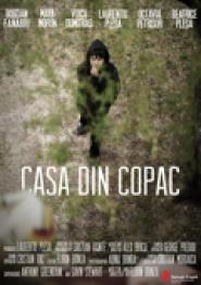 Casa din copac