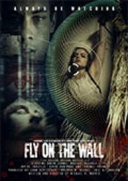 Fly on the Wall