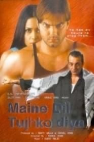 Maine Dil Tujhko Diya
