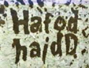 Hafod Haidd