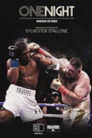 One Night: Joshua vs. Ruiz