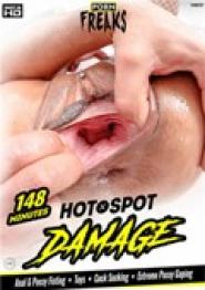 Hot Spot Damage