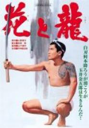 The Flower and the Dragon