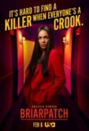 Briarpatch - Texas Kills!