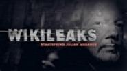 Wikileaks - Staatsfeind Julian Assange