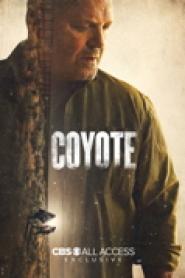 Coyote