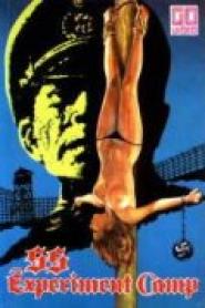 SS Experiment Love Camp