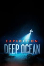 Deep Ocean - Expedition in die Tiefsee
