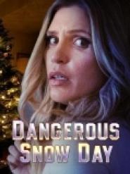 Dangerous Snow Day