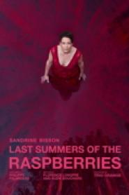 Last Summers of the Raspberries