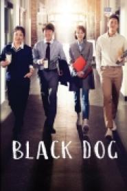 Black Dog - Being a Teacher