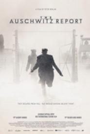 Der Auschwitz-Report