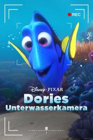 Dories Unterwasserkamera