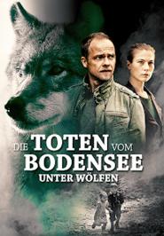 Die Toten vom Bodensee: Unter Wölfen