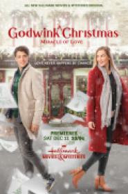 Zufälle gibt’s - Das große Weihnachtsglück