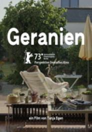 Geranien