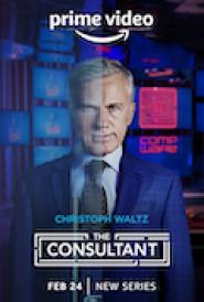 The Consultant