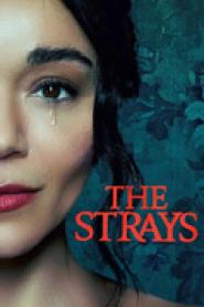The Strays