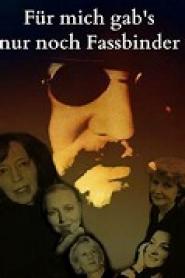 Für mich gab's nur noch Fassbinder