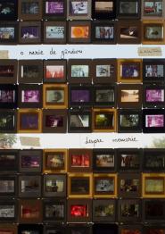 Serie de gânduri despre memorie, O