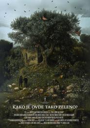 How Come It's All Green Out Here?