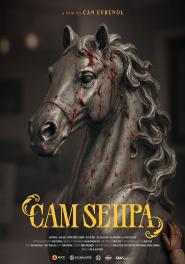 The Turkish Coffee Table