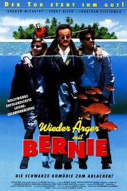 Wieder Ärger mit Bernie