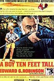 Mein Freund, der Diamanten Joe