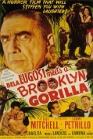 Bela Lugosi Meets a Brooklyn Gorilla