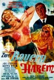 Zwei Bayern im Harem