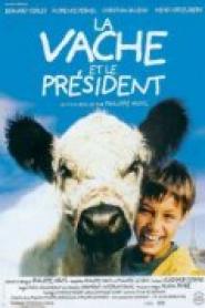 The Cow and the President