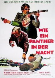 Wie ein Panther in der Nacht