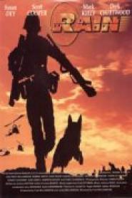 Rescue Dog - Einsatz in Vietnam