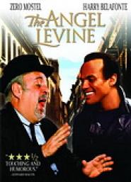 Ein Engel namens Levin