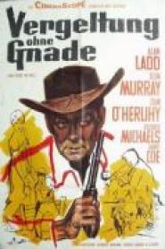 Vergeltung ohne Gnade