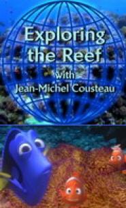 Abenteuer Korallenriff