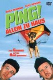 Ping! - Allein zu Haus