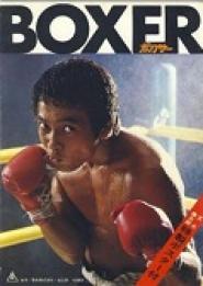 The Boxer