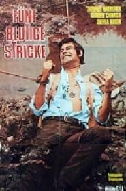 Fünf blutige Stricke