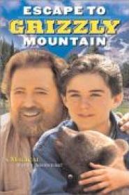 Grizzly Mountain - Flucht in die Vergangenheit