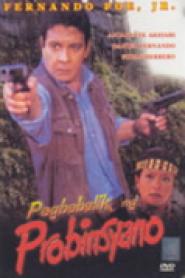 Pagbabalik Ng Probinsyano