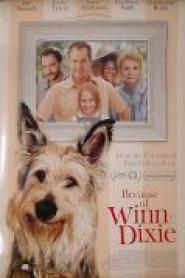 Winn-Dixie - Mein zotteliger Freund