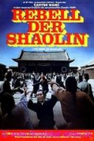 Der Rebell der Shaolin