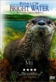Mein Freund, der Otter